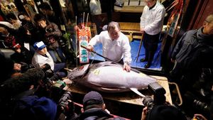 Wow! Ikan Tuna Ini Laku Dilelang Rp 4 M di Tsukiji Market Jepang
