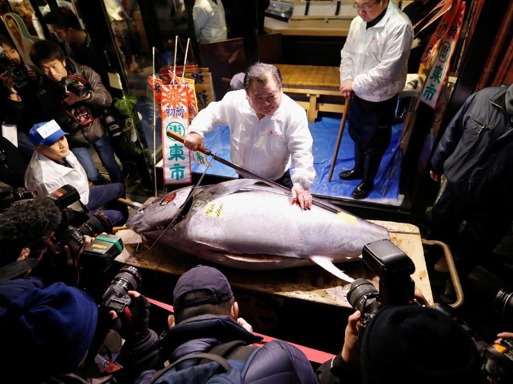 Wow! Ikan Tuna Ini Laku Dilelang Rp 4 M di Tsukiji Market Jepang