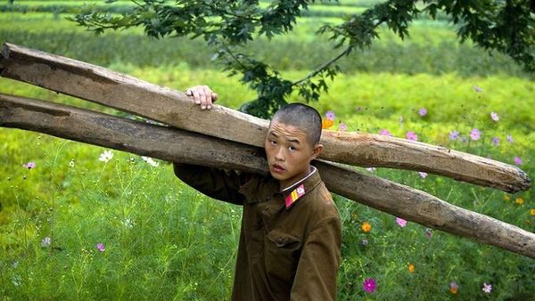 Potret Terlarang Korea Utara yang Berhasil Diselamatkan