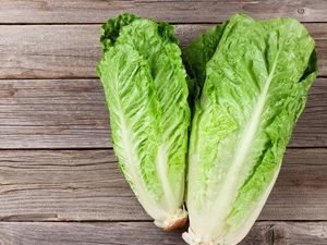 Sebabkan Kematian, Ahli Pangan Anjurkan Sementara Tidak Konsumsi Romaine Lettuce