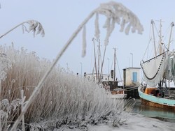 Dua Nelayan Indonesia yang Diperbudak di AS Dapat Ganti Rugi