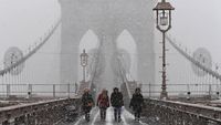 Potret Badai Salju di New York, Central Park Memutih