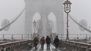 Potret Badai Salju di New York, Central Park Memutih