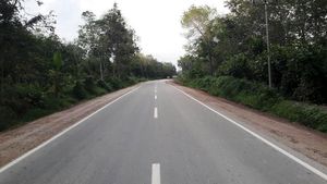 Mulusnya Jalan Perbatasan Kalimantan yang Dibangun Jokowi