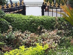 Pria Pembawa 2 Molotov di Depan Grahadi Surabaya Diduga Sakit Jiwa