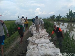 Siaga Banjir, Warga Bojonegoro Ramai-ramai Tinggikan Tanggul