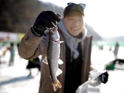 Kandungan Metamfetamin di Sungai Tenyata Bisa Bikin Ikan Kecanduan