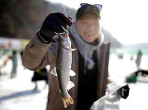 Kandungan Metamfetamin di Sungai Tenyata Bisa Bikin Ikan Kecanduan Kandungan Metamfetamin di Sungai Tenyata Bisa Bikin Ikan Kecanduan