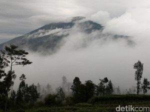 Jalur Pendakian Gunung Merbabu Ditutup Selama 1 Bulan