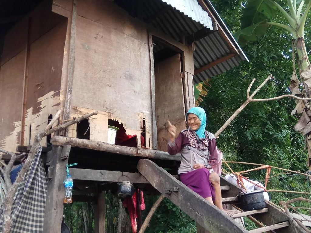 Kisah Nenek di Bone yang Tinggal di Gubuk Reyot Bersama Anaknya Kisah Nenek di Bone yang Tinggal di Gubuk Reyot Bersama Anaknya