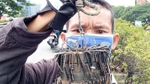 Ini Penampakan Ranjau Paku yang Berhasil Dikumpulkan Rohim