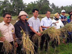 Luas Panen di Jabar Selatan Ditarget 39.000 Ha Hingga Maret 2018 Luas Panen di Jabar Selatan Ditarget 39.000 Ha Hingga Maret 2018