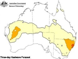 Suhu Panas di Sydney Sentuh Angka Tertinggi dalam 79 Tahun