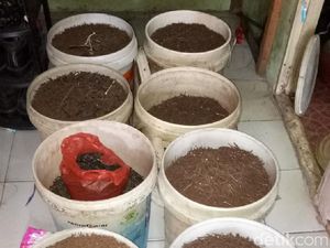 Ngeri! 4 Ton Ranjau Paku Terjaring di Jakarta dan Bekasi