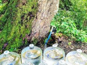 Tren Kesehatan Baru yang Berbahaya: Minum Air Alami Mentah Tren Kesehatan Baru yang Berbahaya: Minum Air Alami Mentah