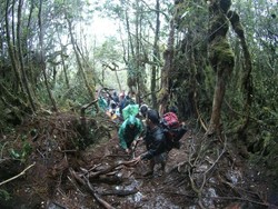 Puncak Tertinggi di Sumut, Gunung Sibuatan Sajikan Pemandangan Eksotis
