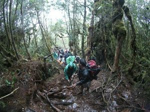 Puncak Tertinggi di Sumut, Gunung Sibuatan Sajikan Pemandangan Eksotis Puncak Tertinggi di Sumut, Gunung Sibuatan Sajikan Pemandangan Eksotis