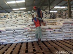 Jember Dapat Tambahan 737 Ton Pupuk Urea Bersubsidi