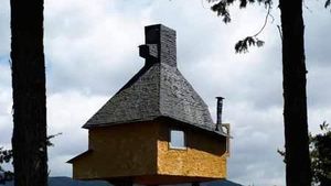 Rumah Pohon Paling Berbahaya di Jepang