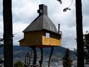 Rumah Pohon Paling Berbahaya di Jepang