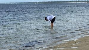 Foto: Jokowi dan Pantai Cantik di Ujung Selatan Indonesia