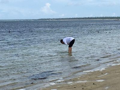 Foto: Jokowi dan Pantai Cantik di Ujung Selatan Indonesia