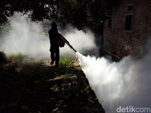Jumlah Penderita DB di Tulungagung Meningkat, 6 Orang Meninggal