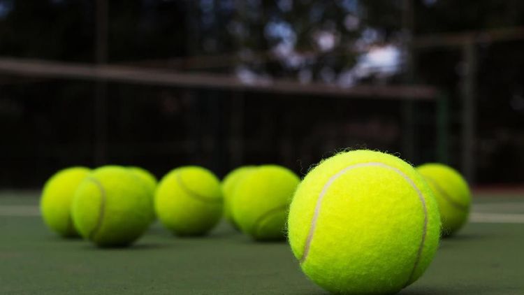 Bedah Tuntas: Perbedaan Aturan, Raket, Lapangan Pickleball, Padel, dan Tenis