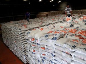 Bamsoet Minta Jokowi Turun Tangan Bereskan Beda Data Pangan