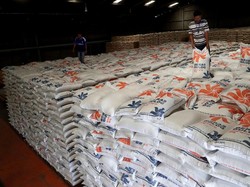 Satgas Pangan Belum Temukan Penyebab Harga Beras Melonjak