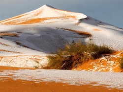 Gurun Sahara Tak Selalu Kering dan Bisa Ganti Iklim, tapi...