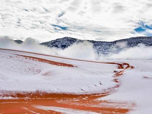 Salju Turun di Sahara, Seperti Doa Anggun yang Terkabul Salju Turun di Sahara, Seperti Doa Anggun yang Terkabul