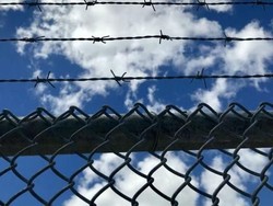 Ketatnya Penjagaan di Kebun Ganja Obat Berlisensi Pertama Queensland