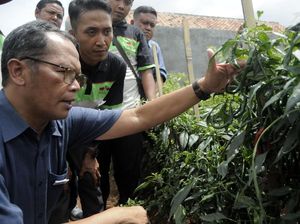 Ewindo Kukuhkan Petani Muda Panah Merah di Lampung
