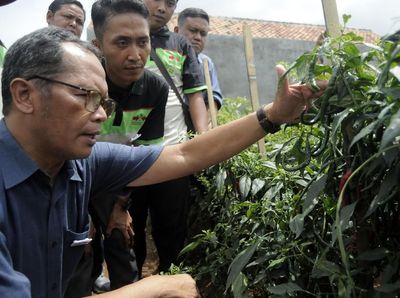Ewindo Kukuhkan Petani Muda Panah Merah di Lampung