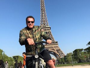 Geregetan, Arnold Schwarzenegger Sebut Trump Mi Basah