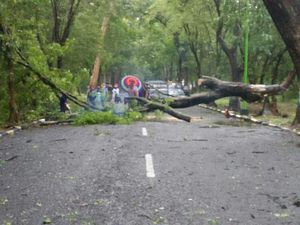 Hujan Disertai Angin Kencang Terjang 2 Kecamatan di Magetan