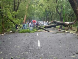 Hujan Disertai Angin Kencang Terjang 2 Kecamatan di Magetan