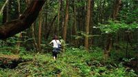 Sepi Mencekam di Aokigahara, Hutan Langganan Bunuh Diri di Jepang
