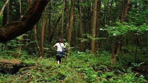 Sepi Mencekam di Aokigahara, Hutan Langganan Bunuh Diri di Jepang