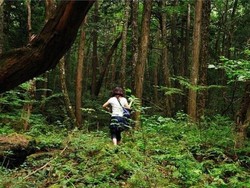 Menguak Aokigahara, Hutan Bunuh Diri di Jepang
