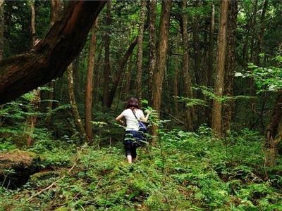 Sepi Mencekam di Aokigahara, Hutan Langganan Bunuh Diri di Jepang