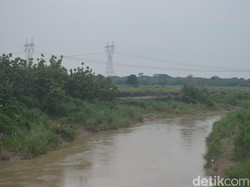 Cara Petakala Grage Kawal Lingkungan Hidup di Cirebon