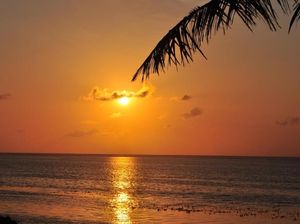 Heboh Pulau di Bintan Dijual Online Heboh Pulau di Bintan Dijual Online