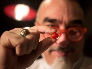 Ini Dia, Tomat Ceri Terkecil di Dunia Asal Israel!