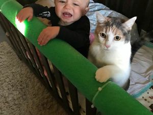 Momen-momen Kompak si Kecil dengan Kucing Peliharaannya