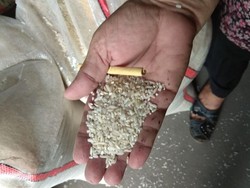 Cerita Buwas Ditegur Jokowi Gara-gara Beras Pera di Jateng