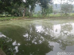 Ini Lho Wisata Alam Murah Meriah di Ponorogo