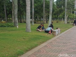 Bisa Duduk di Rumput, Ini Kata Warga soal Pagar Monas yang Dicopot