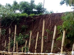 Tanggul Longsor Ancam Peternakan, Pertanian dan Permukiman di Jepara